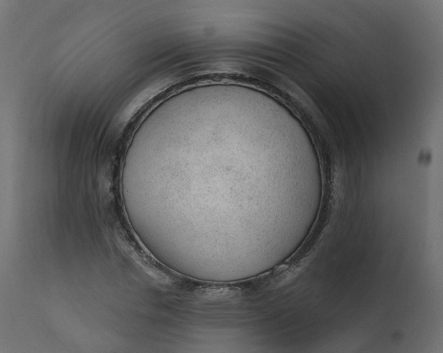 X0000110720826200906261453