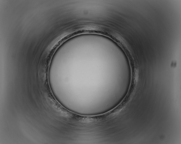 X0000110720829200906261453