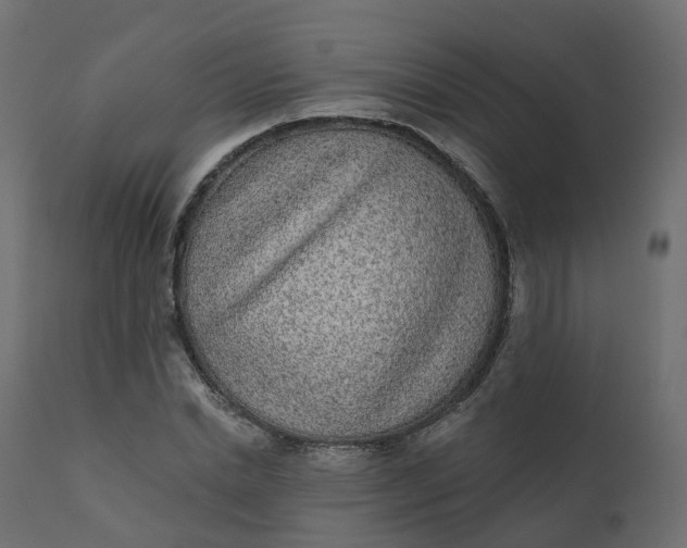 X0000110720830200906261453