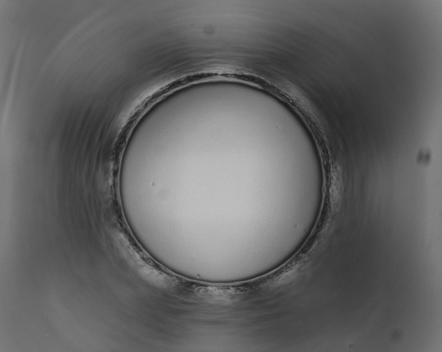 X0000110720831200906261453