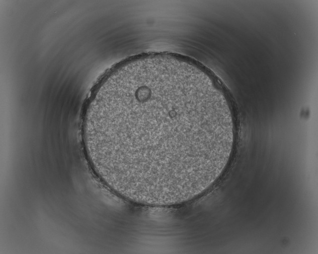 X0000110720832200906261453