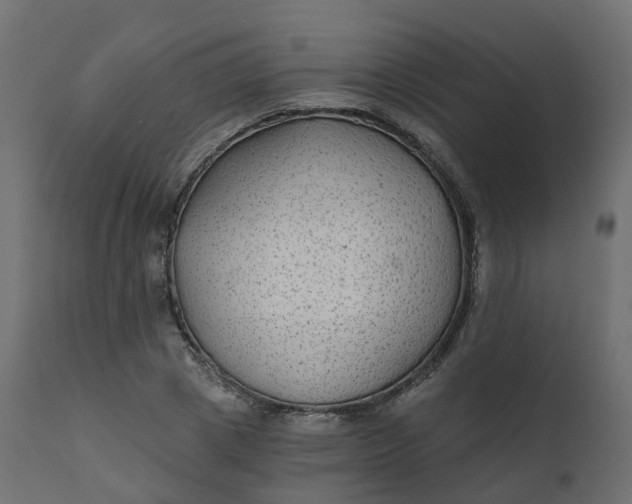 X0000110720833200906261453