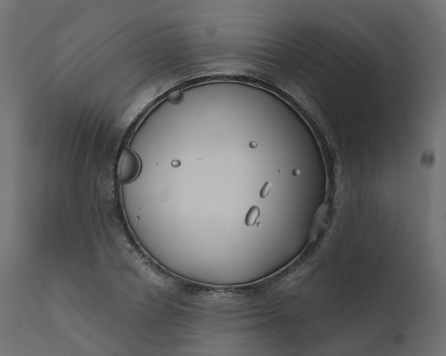 X0000110720834200906261453