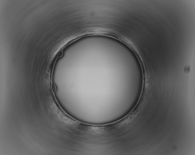 X0000110720835200906261454