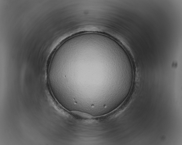 X0000110720837200906261454