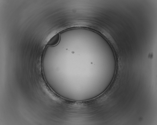 X0000110720842200906261454