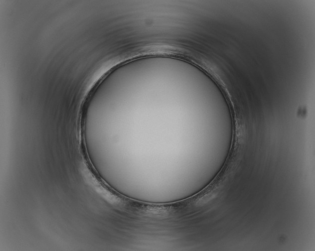 X0000110720843200906261454