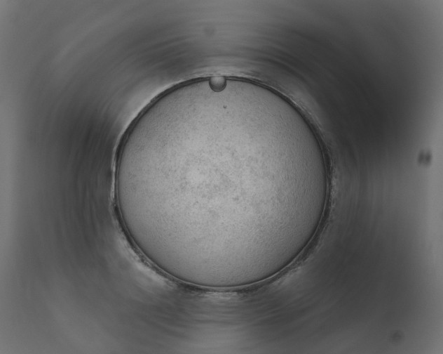 X0000110720844200906261454