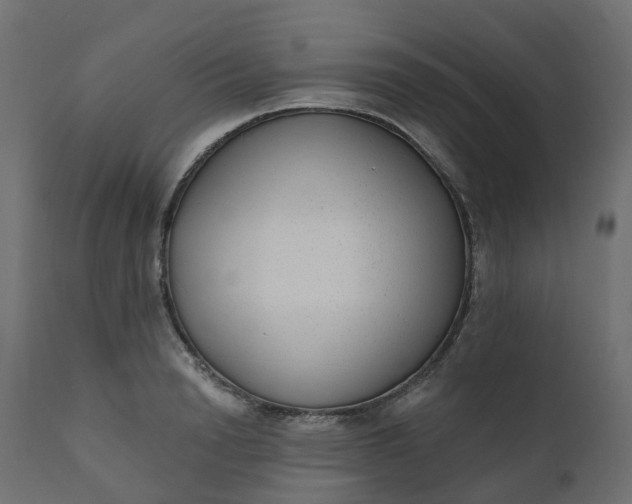 X0000110720846200906261454