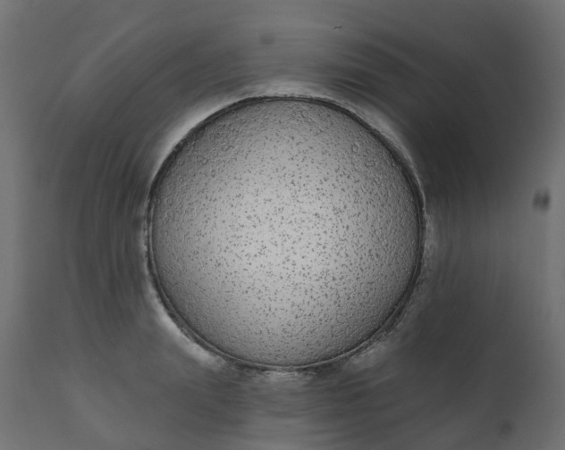 X0000110720847200906261454