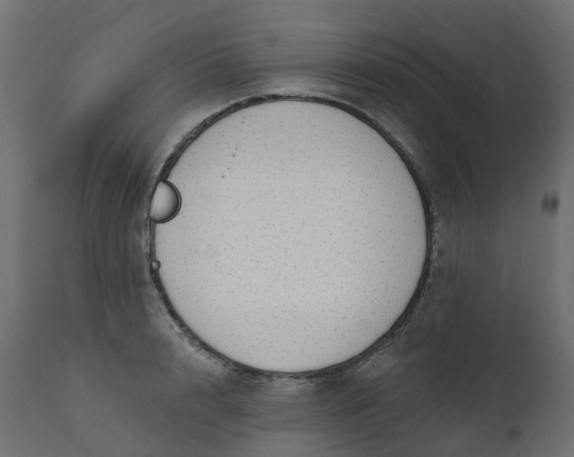 X0000110720848200906261454