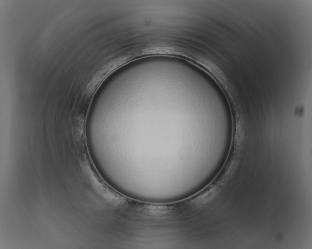 X0000110720849200906261454