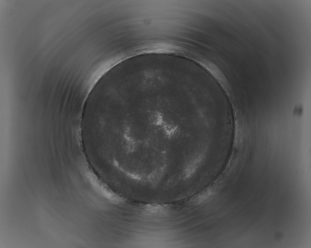 X0000110720850200906261454