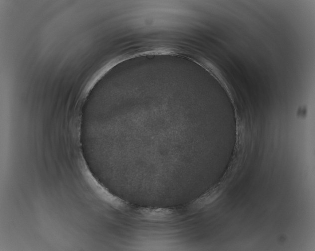 X0000110720851200906261454