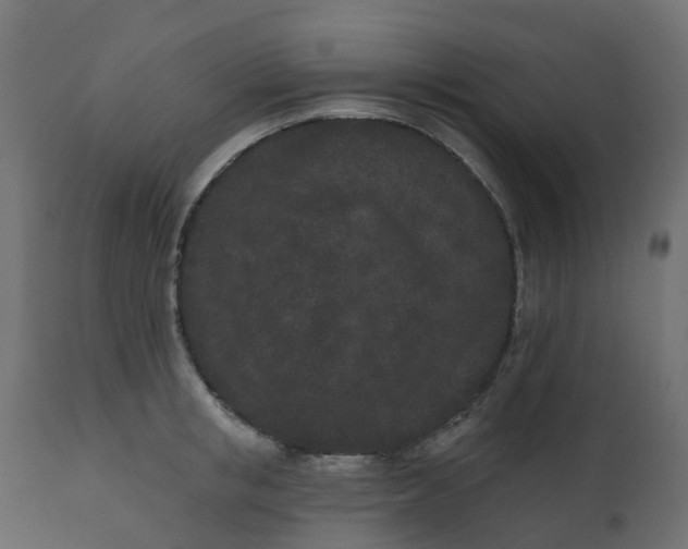 X0000110720853200906261454