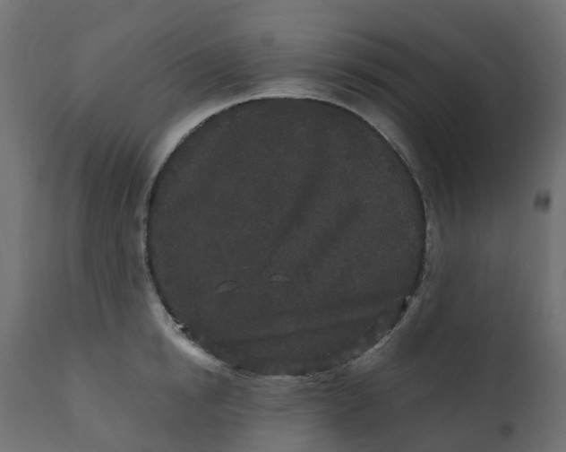 X0000110720854200906261454