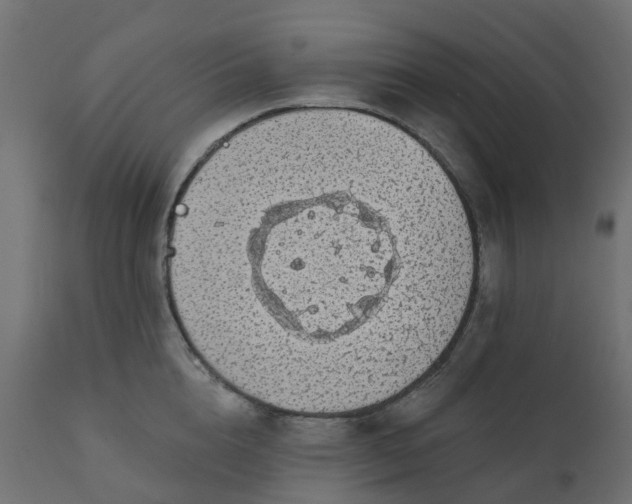 X0000110720856200906261454