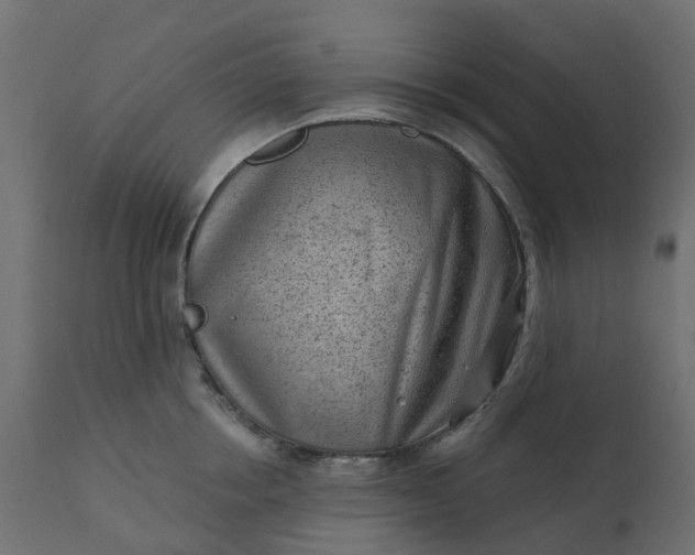 X0000110720858200906261454