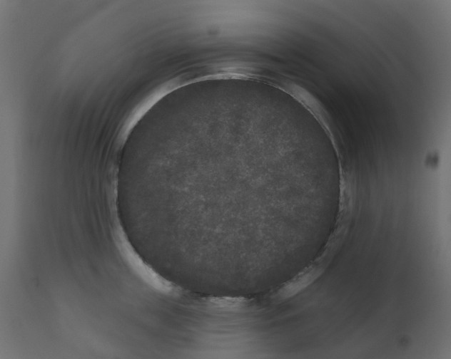 X0000110720859200906261454