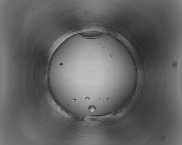 X0000110720860200906261454