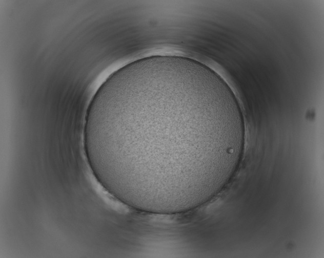 X0000110720861200906261454