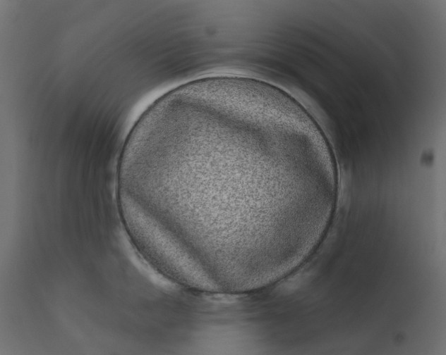 X0000110720862200906261454