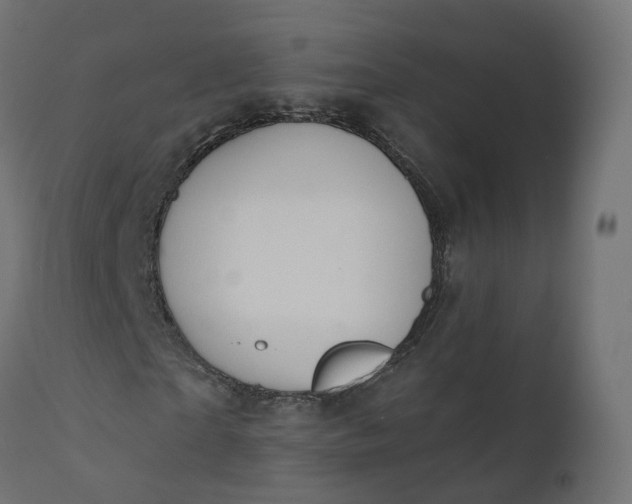 X0000110720865200906261453