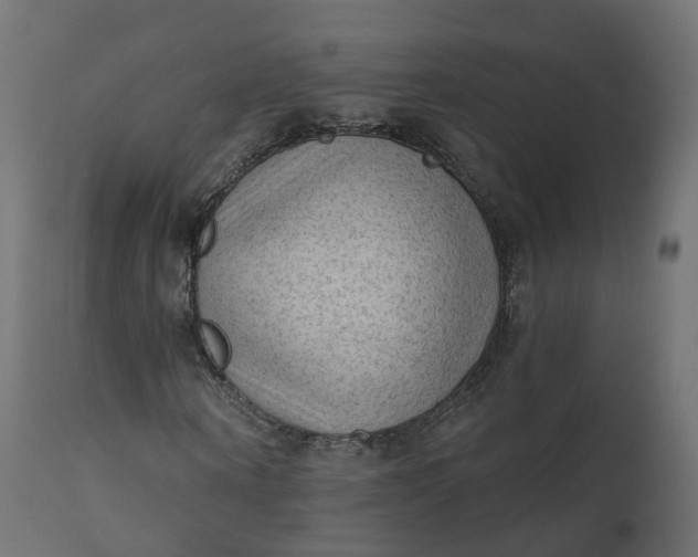 X0000110720866200906261453