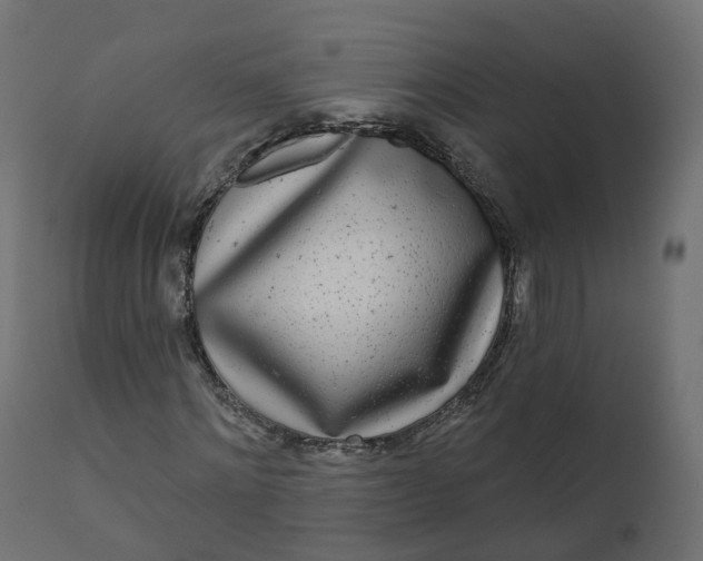 X0000110720868200906261453