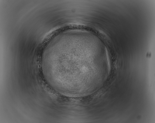 X0000110720870200906261453