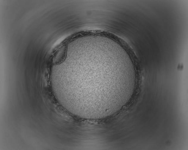 X0000110720871200906261453