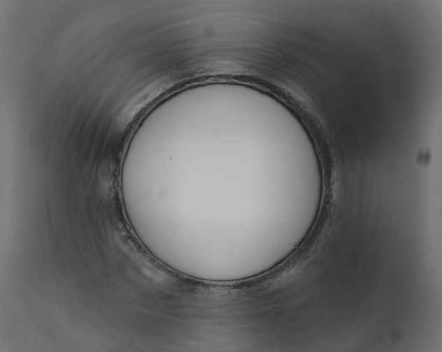 X0000110720873200906261453