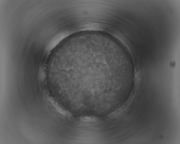 X0000110720874200906261453