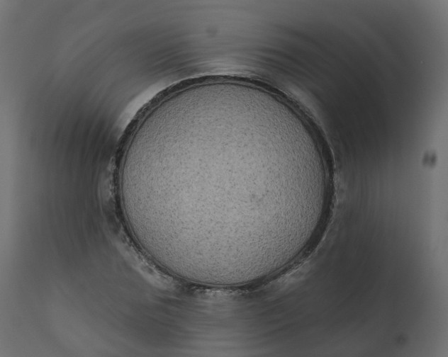 X0000110720875200906261453