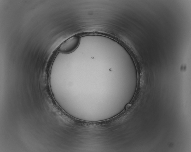 X0000110720876200906261453