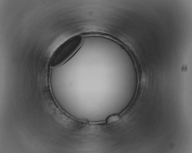 X0000110720877200906261453