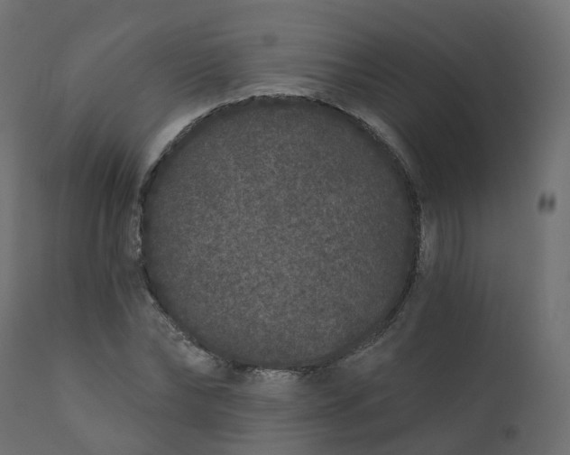 X0000110720878200906261453