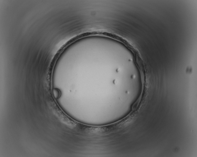 X0000110720879200906261453