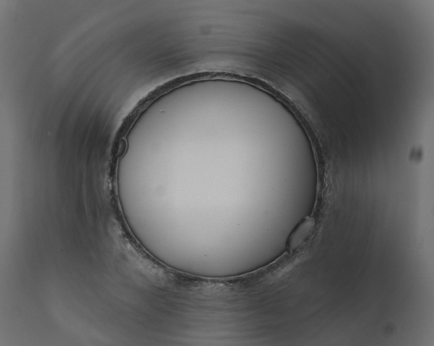 X0000110720880200906261453