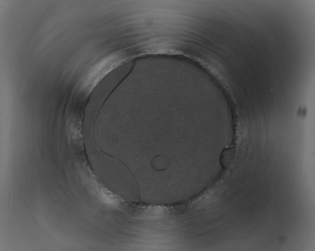 X0000110720881200906261453