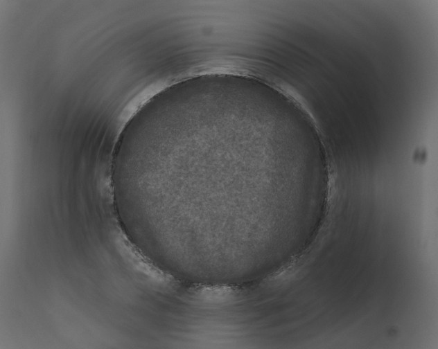 X0000110720882200906261453