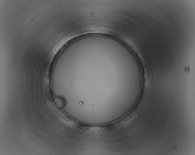 X0000110720883200906261453