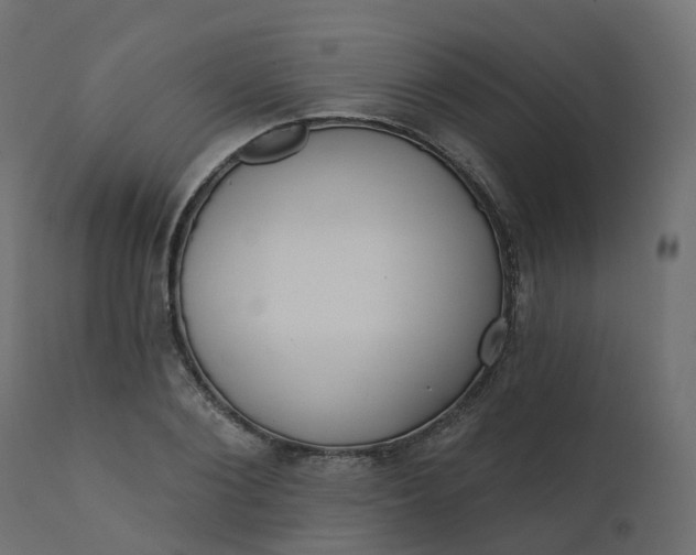 X0000110720884200906261453