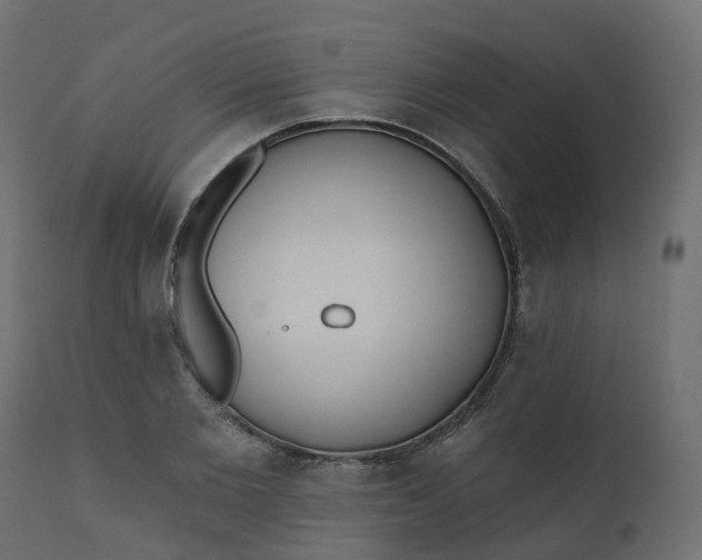 X0000110720885200906261453