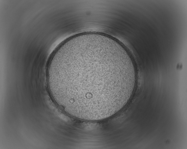 X0000110720886200906261453