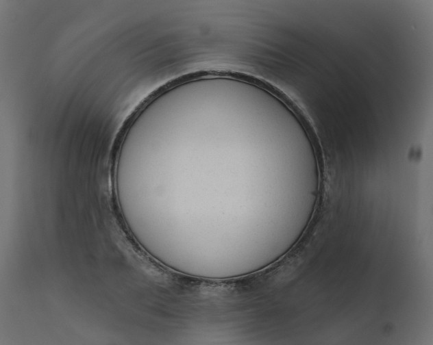 X0000110720887200906261453