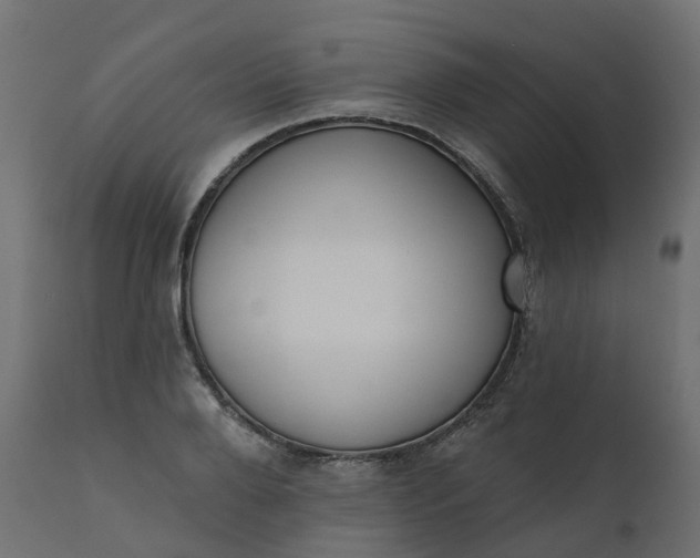 X0000110720888200906261453