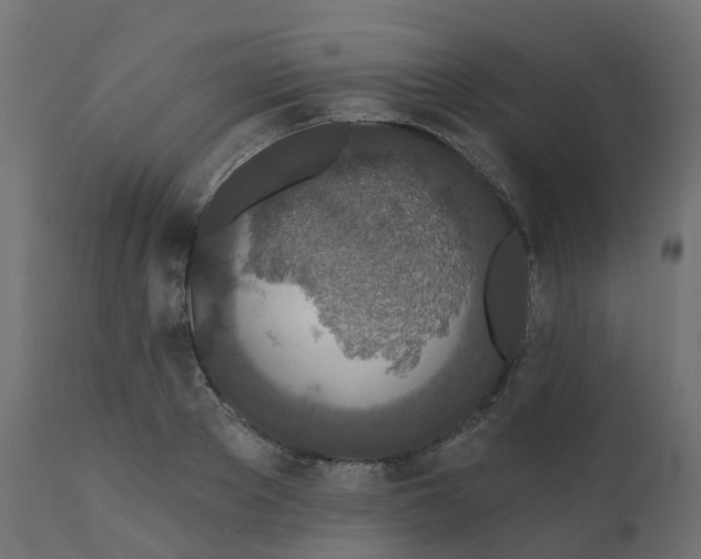 X0000110720889200906261453