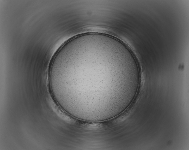 X0000110720891200906261453