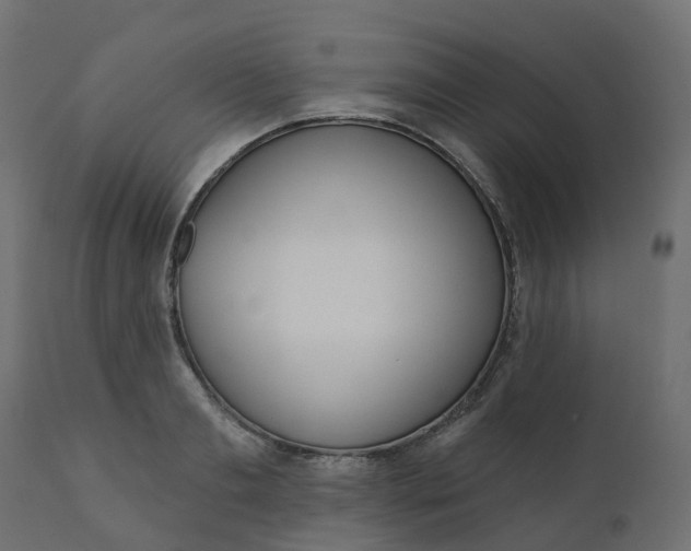 X0000110720893200906261453